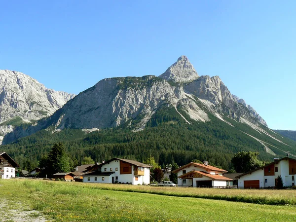 Honneur Sommet Une Forêt Montagne — Photo