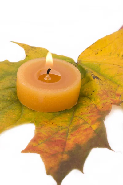 Autumnal Maple Leaf Tea Light Royalty Free Stock Images