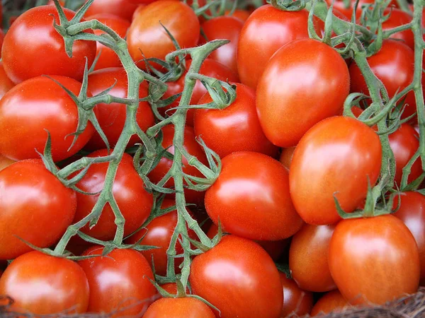 Vegetarisk Mat Selektivt Fokus — Stockfoto