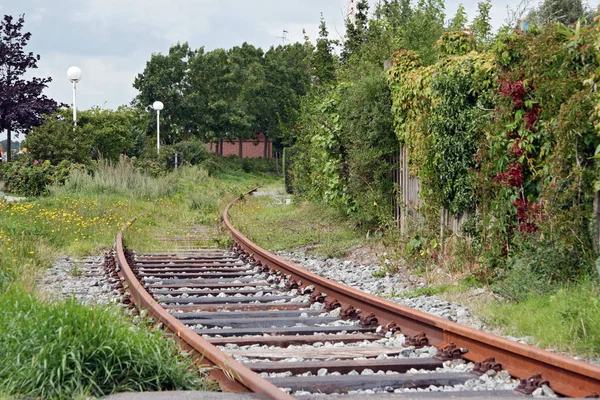森の中の鉄道線路は — ストック写真