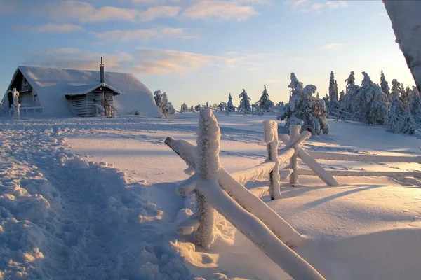 Pokryty Śniegiem Krajobraz Zimowy — Zdjęcie stockowe