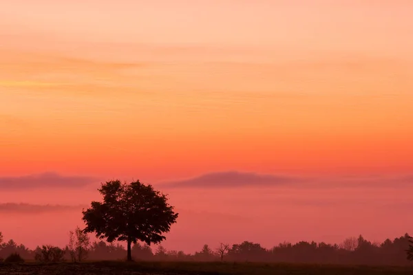 Malerischer Blick Auf Die Outdoor Szene — Stockfoto