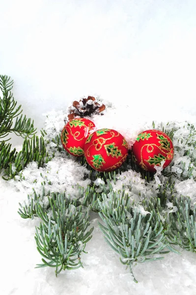 Christmas Ornaments Tree Branch — Stock Photo, Image
