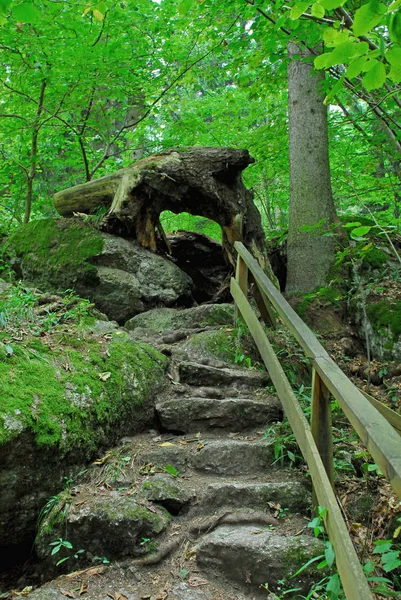 Vacker Utsikt Över Naturen — Stockfoto