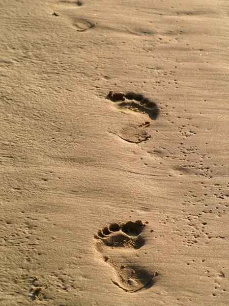 Traces Dans Sable — Photo