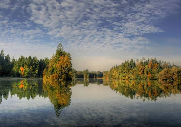 Gyönyörű Őszi Lombozat Erdőben — Stock Fotó