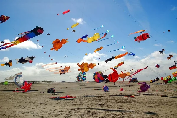 Kites Flying Sky — Stock Photo, Image