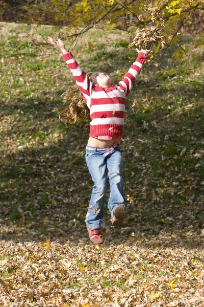 Paled Met Het Kruid — Stockfoto