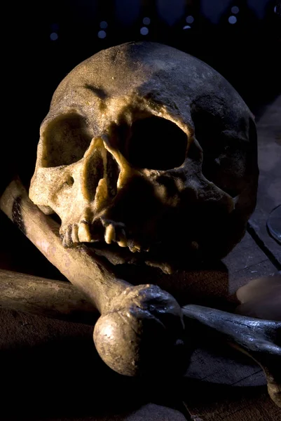 Bodegón Con Cráneo Huesos Humanos — Foto de Stock