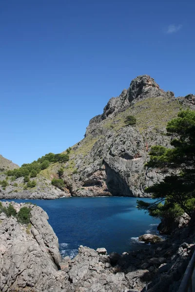 Vue Panoramique Île Mise Point Sélective — Photo