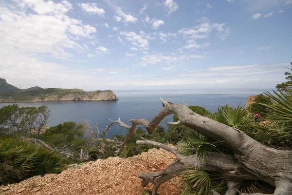 Islas Mallorca Mediterráneo —  Fotos de Stock