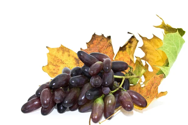 Saftige Trauben Beeren Früchte Und Nahrung — Stockfoto