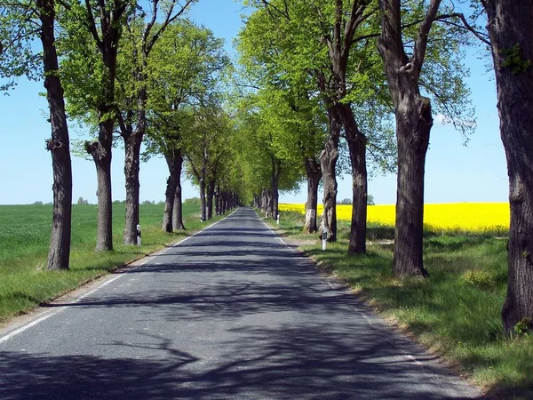 Pittoresk Uitzicht Natuur — Stockfoto