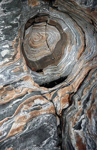 Старая Текстура Дерева Естественным Рисунком — стоковое фото