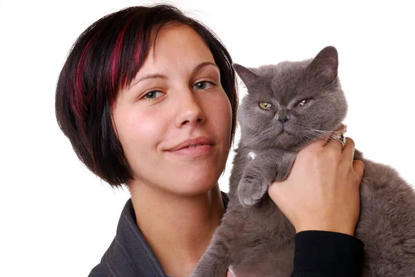 Young Woman Cat — Stock Photo, Image