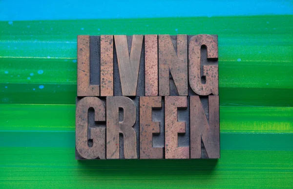 Vivere Verde Nel Vecchio Tipo Legno — Foto Stock