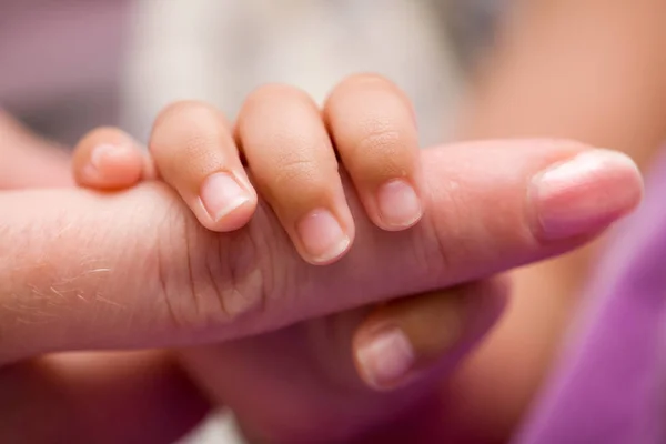 Schattig Familieportret Gelukkig Ouderschap Concept — Stockfoto