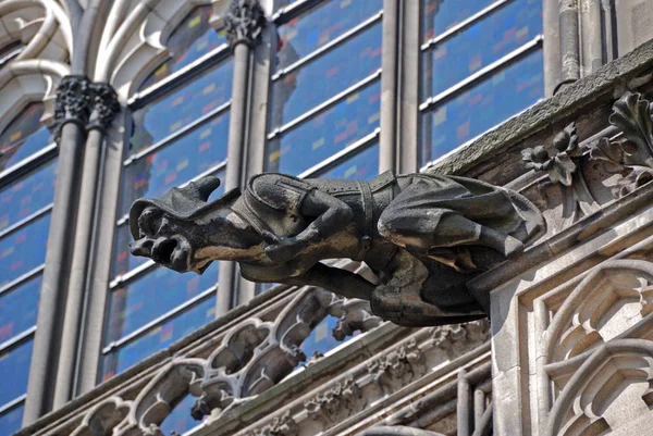 Water Spit Cologne Cathedral — Stock Photo, Image