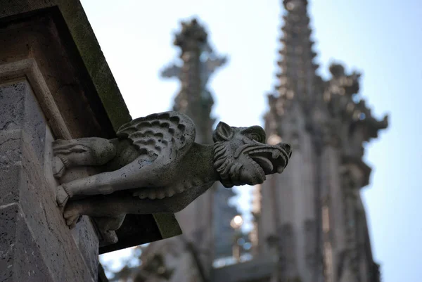 Köln Katedrali Nde Gargoyles — Stok fotoğraf