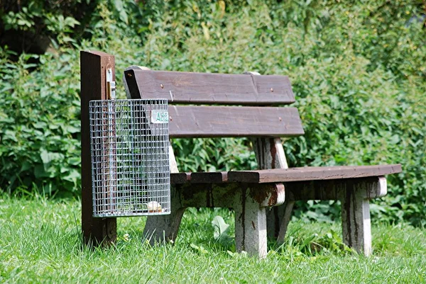 Wooden Bench Garden — Stock Photo, Image