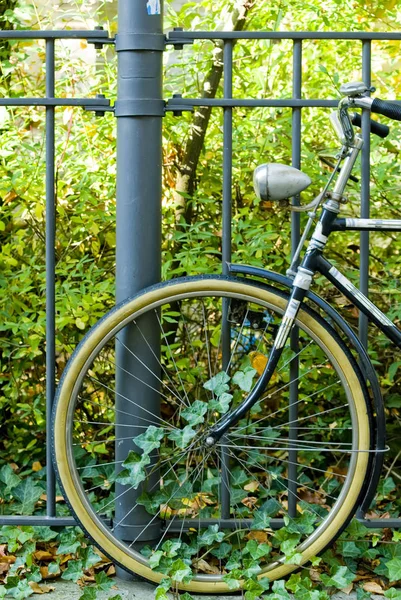 公園内の自転車の車輪は — ストック写真