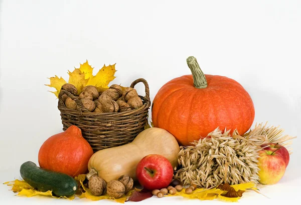 Harvest Time Autumn Background — Stock Photo, Image