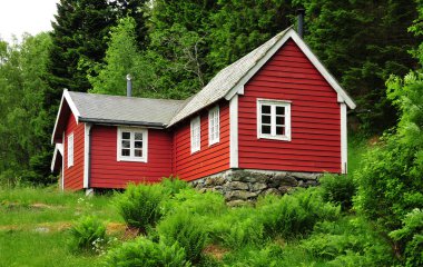 holiday home in norway. clipart