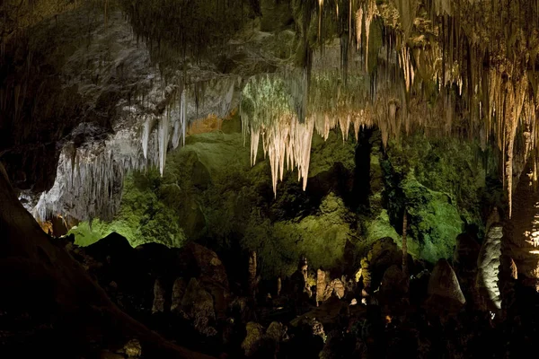 Parc National Des Cavernes Carlsbad — Photo