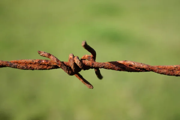 Abstrakt Tapet Minimalistisk Bakgrund — Stockfoto