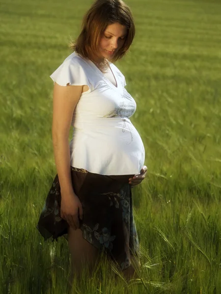 Vaccination Femme Enceinte — Photo