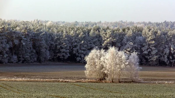 Pittoresk Utsikt Över Naturscenen — Stockfoto