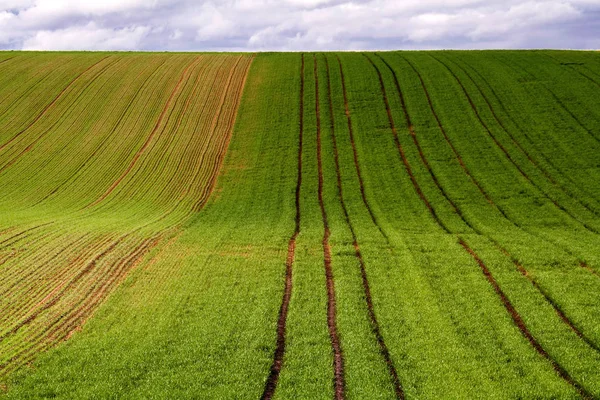 Belle Vue Sur Les Paysages Naturels — Photo