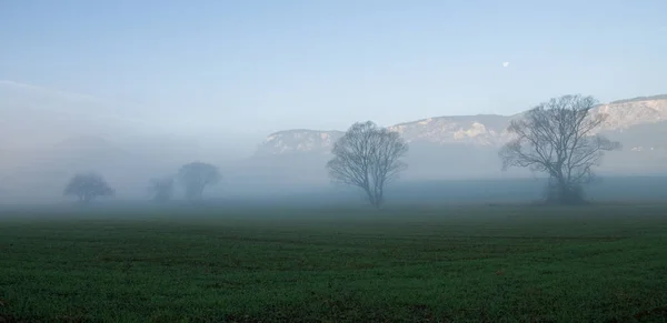 Prachtig Uitzicht Natuur — Stockfoto