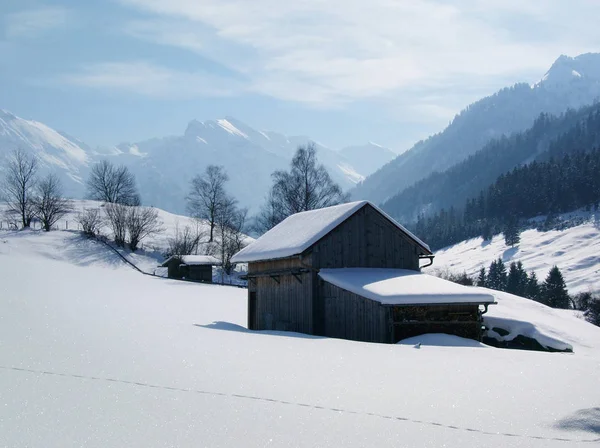 Snötäckt Vinterlandskap — Stockfoto