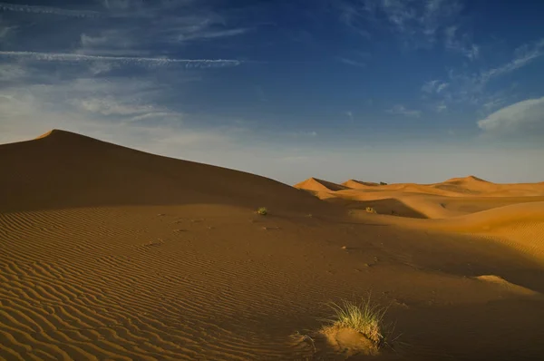 Deserto Arenoso Paisagem Duna — Fotografia de Stock