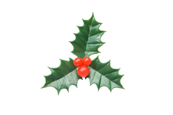 Holly Typical Ornament Christmas — Stock Photo, Image