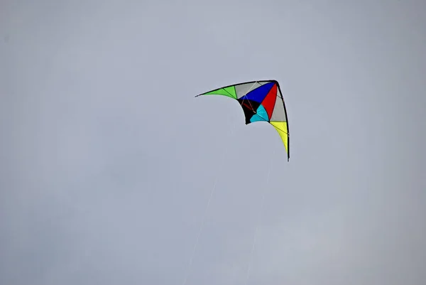 Cerf Volant Volant Dans Ciel — Photo