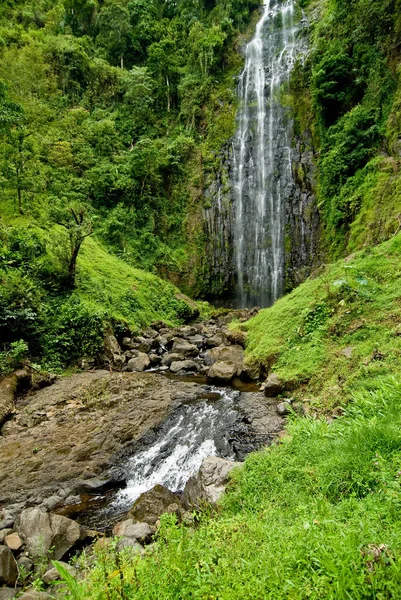 Bela Cachoeira Fundo Natureza — Fotografia de Stock