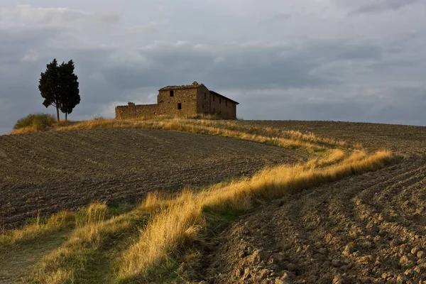 Vista Panoramica Delle Dune Focus Selettivo — Foto Stock