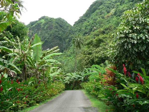 Bela Vista Natureza — Fotografia de Stock