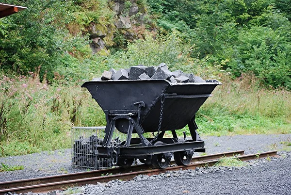 Velha Locomotiva Floresta — Fotografia de Stock