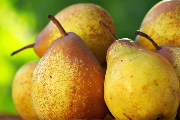 Scheur Gele Verse Peren — Stockfoto