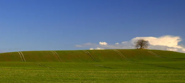 Malowniczy Widok Krajobraz Wiejski — Zdjęcie stockowe