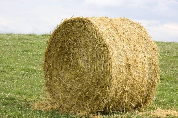 Agriculture Field Harvest Straw Bales — Stock Photo, Image