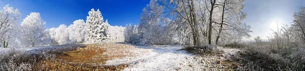 Blick Auf Eine Winterszene — Stockfoto