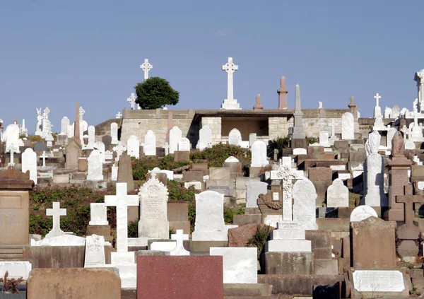 Vista Cidade Luxor Egito — Fotografia de Stock