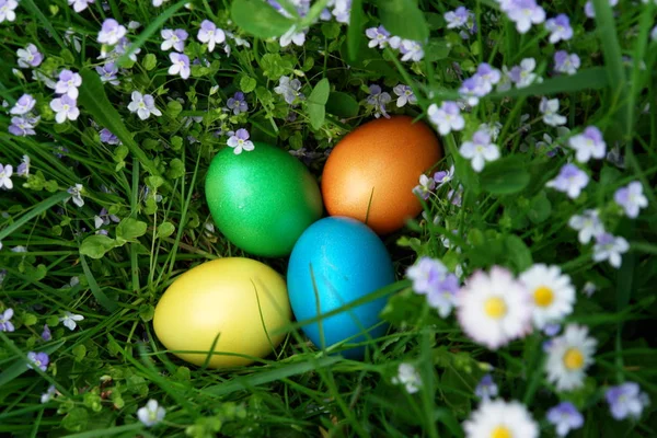 Ünnep Színes Koncepció Boldog Húsvéti Dekorációk — Stock Fotó