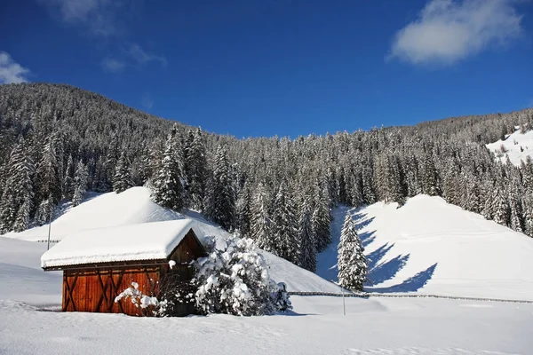 Schneebedeckte Winterlandschaft — Stockfoto