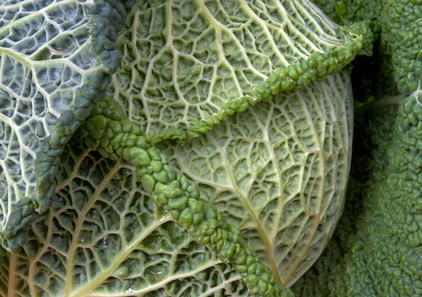 Vegetarian Food Selective Focus — Stock Photo, Image