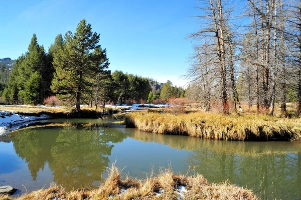 Kalifornien Sierra Meadow Spätherbst — Stockfoto